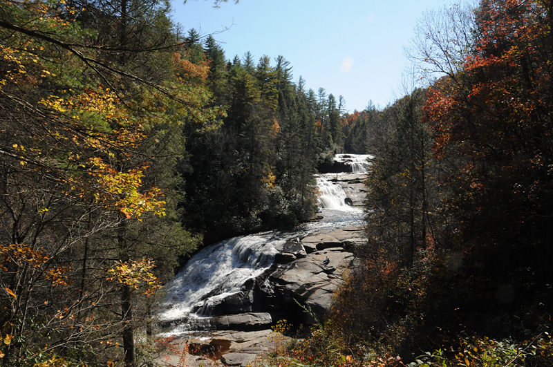 NC2011 26